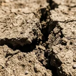 De ce pielea pierde din densitate? de-ce-pielea-pierde-din-densitate.webp.webp