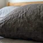 O amenințare ascunsă pe o pernă familiară o-amenintare-ascunsa-pe-o-perna-familiara.webp.webp