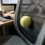 Pielea de găină sub omoplați atunci când lucrați la computer și o modalitate simplă de a restabili confortul pielea-de-gaina-sub-omoplati-atunci-cand-lucrati-la-computer.webp.webp