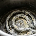 Placă într-un ibric ca un semnal ascuns despre calitatea apei și o modalitate simplă de a reda strălucirea echipamentelor placa-intr-un-ibric-ca-un-semnal-ascuns-despre-calitatea-apei.webp.webp