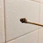 Un obicei periculos după o baie: de ce pielea aburită a urechii necesită îngrijire specială un-obicei-periculos-dupa-o-baie-de-ce-pielea-aburita.webp.webp